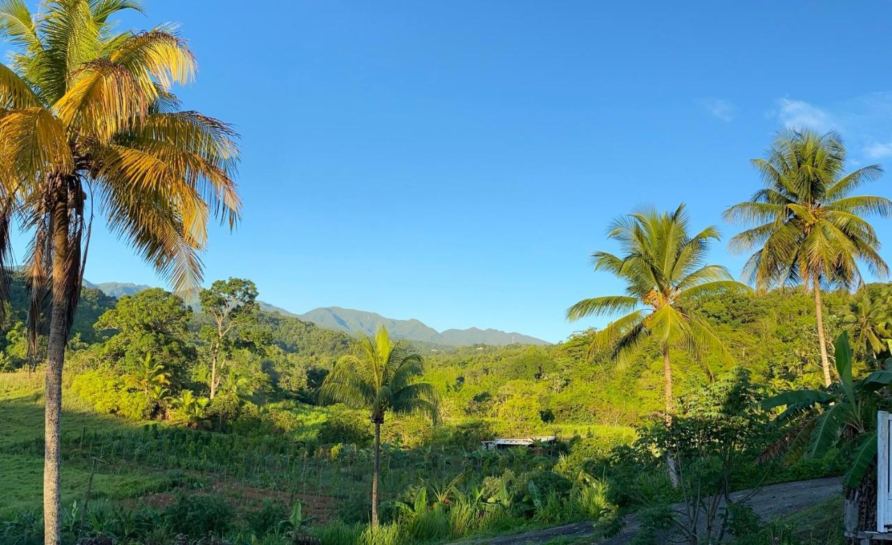 La vallee de Diane Villa Petit-Bourg Buitenkant foto